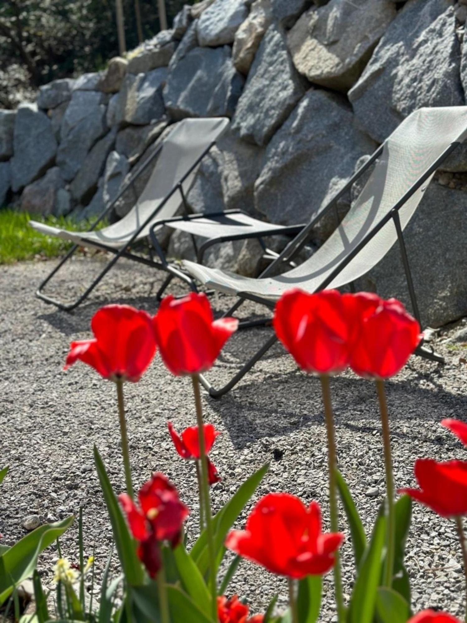 Chalet22 Beim Floesserhaus In Beuerberg Eurasburg Kültér fotó